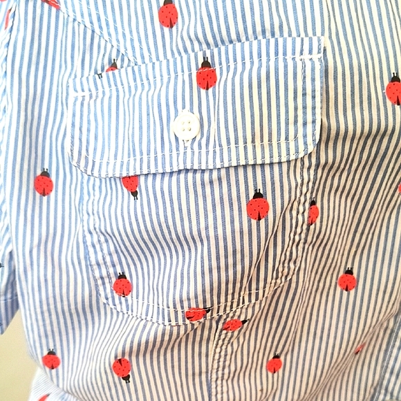 Karen And Scott Women's Blue Striped Shirt With Red Ladybugs. Size XL. - Picture 4 of 6